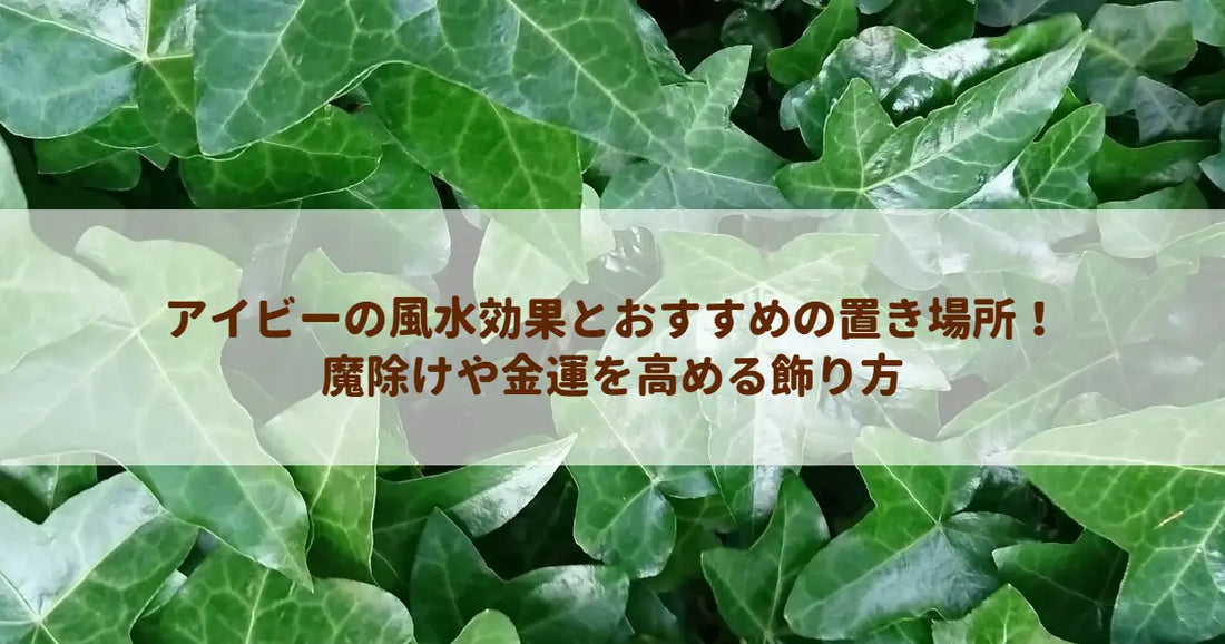アイビーの風水効果とおすすめの置き場所！魔除けや金運を高める飾り方