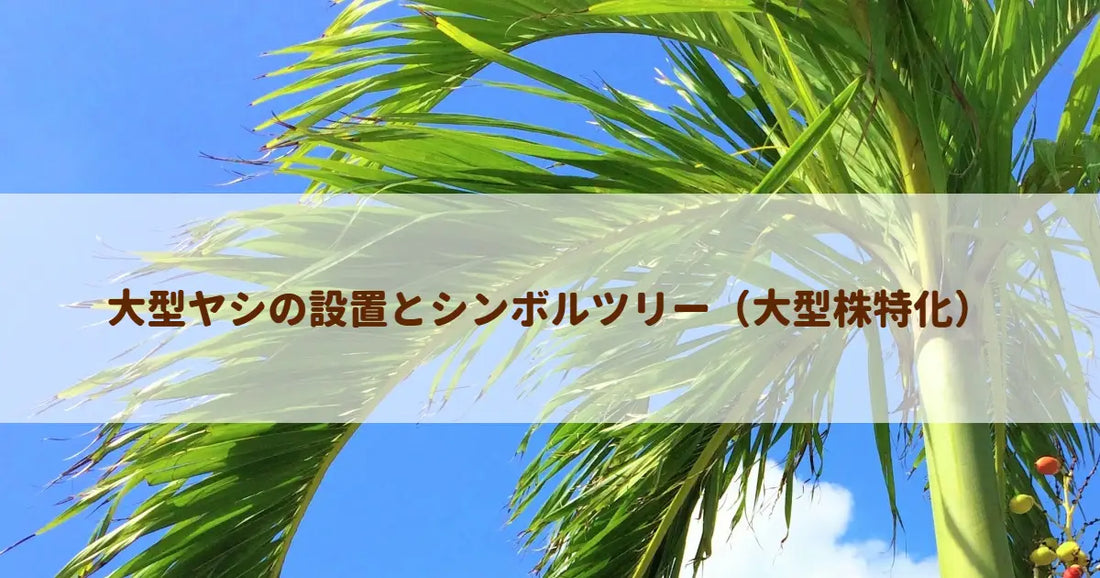 大型ヤシの設置とシンボルツリー（大型株特化）