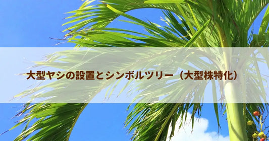 大型ヤシの設置とシンボルツリー（大型株特化）